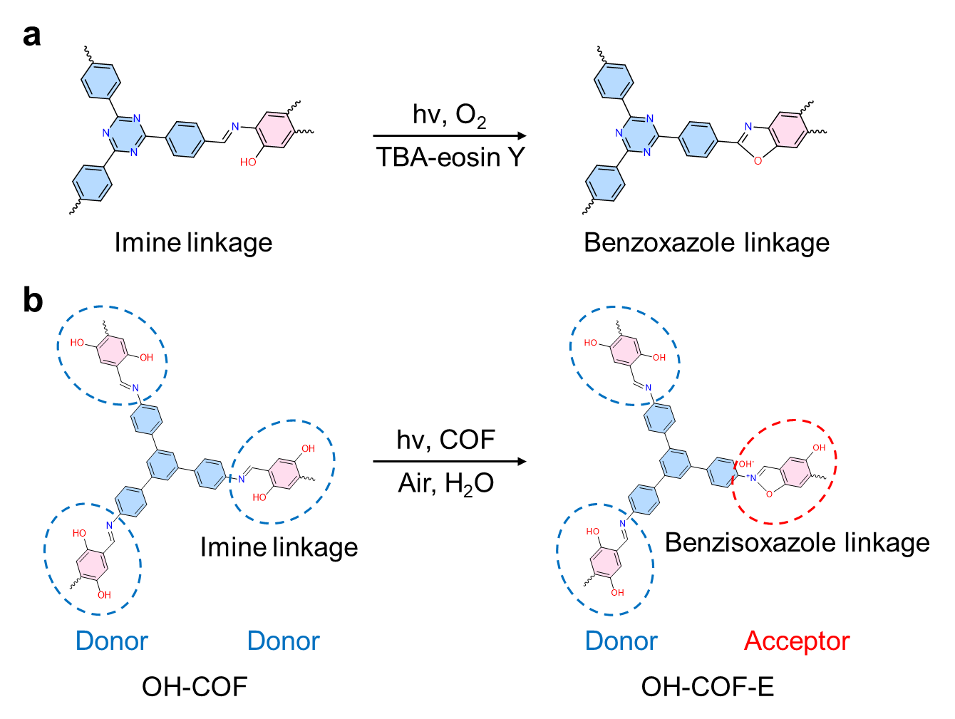 我校科研团队发文提出光诱导原位...